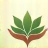 Icon of lotus and hands